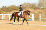 SBM_004654
