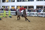 SBM_004886