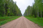 Soomaa National Park, Estonia
