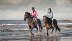 Ayr 3