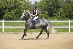 SBM_012314