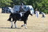 WJ6_8206