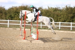 SBM_003564