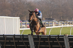 281224-Race 2-Kdeux Saint Fray-1351