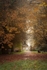 Autumn Gateway - II