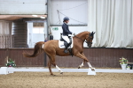 SBM_019503