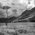 Buttermere