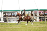 SBM_15798