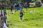 The Finish-984