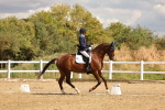 SBM_006485