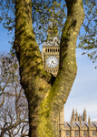 Big Ben from Parliament Square