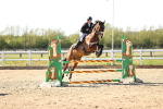 SBM_003385