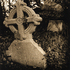 Gravestone with Ivy