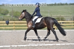 BPP_9207