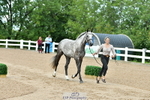 230719A-125725-00249_Trot Up 12pm to 1pm