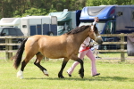 SBM_02436