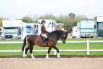 SBM_00222