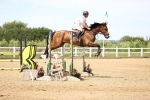 SBM_004479