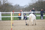 SBM_003974