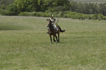 BVHT 140517  IXC -793