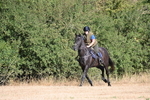 WJ6_6763