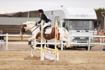 SBM_008910