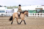 SBM_00137