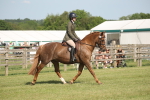 SBM_09743