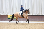 SBM_001930
