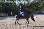 BPP_9370