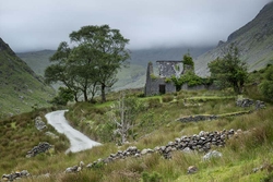 Black Valley Cottage