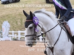 BPP_8167