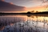 Tamar Lake