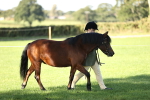 SBM_15845