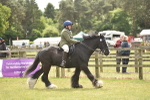 SBM_15962