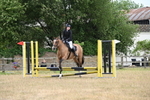 Class 13 Novice Jumping 60cm portfolio