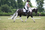 WJ6_6918