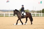 SBM_006553