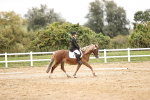 SBM_002741