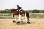 SBM_002819