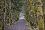 Kielder Ultra-1079