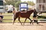 SBM_04581