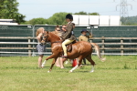 SBM_06764