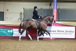 SBM_15388