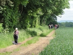 051 Our walk navigator awaits the group's advance