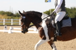 SBM_006989