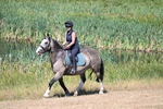 WJ7_8130