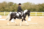 SBM_007491