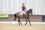 SBM_002086