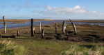 Norfolk